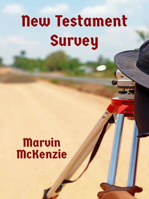 cover image of New Testament Survey